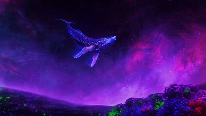 Whale Surreal Wallpaper