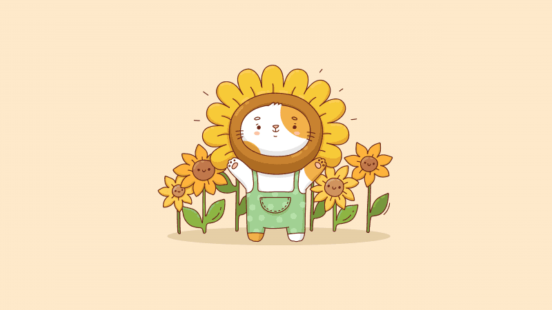 Kawaii sunflowers Cute costume Wallpaper
