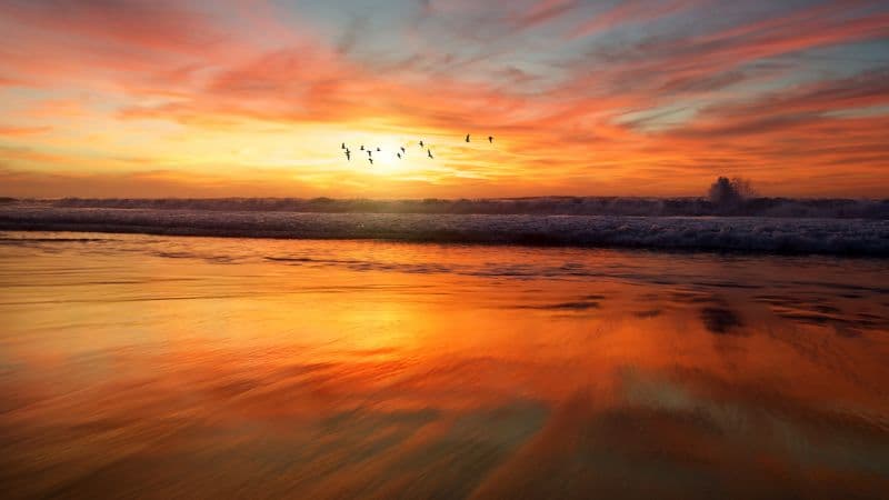 Beach Sunset Wallpaper