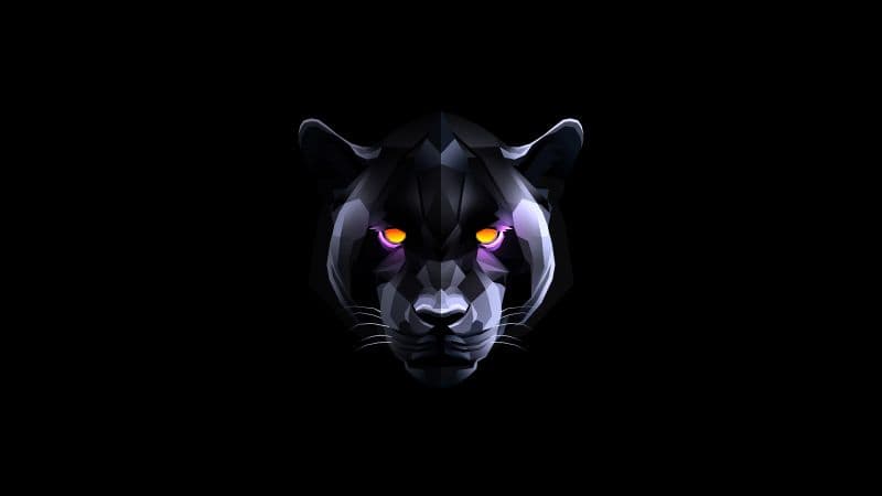 Black Panther Black background Wallpaper