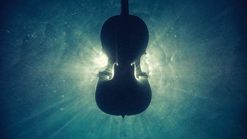 Violin Underwater Wallpaper