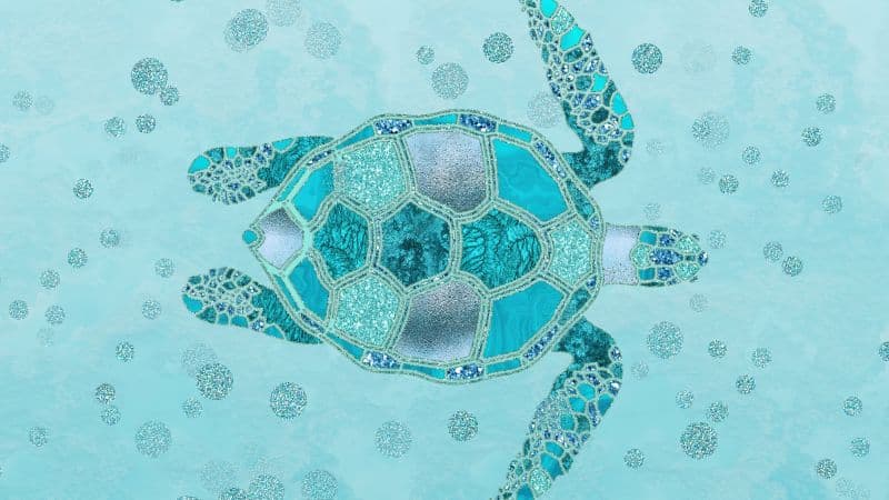 Turtle Turquoise background Wallpaper