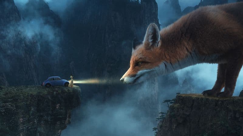 Fox Dream Wallpaper