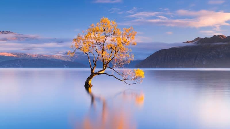 Lake Wanaka New Zealand Wallpaper