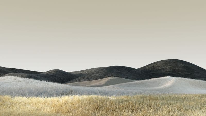 Landscape Summer Wallpaper