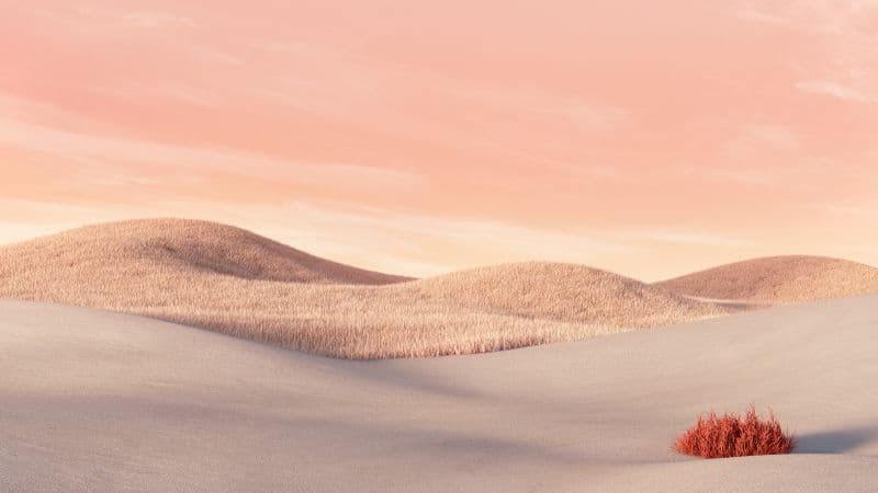 Desert Aesthetic Wallpaper