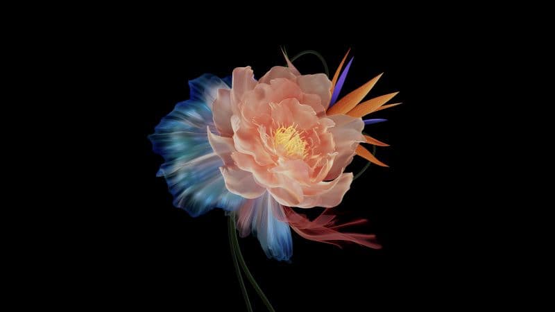 Abstract flower Multicolor Wallpaper