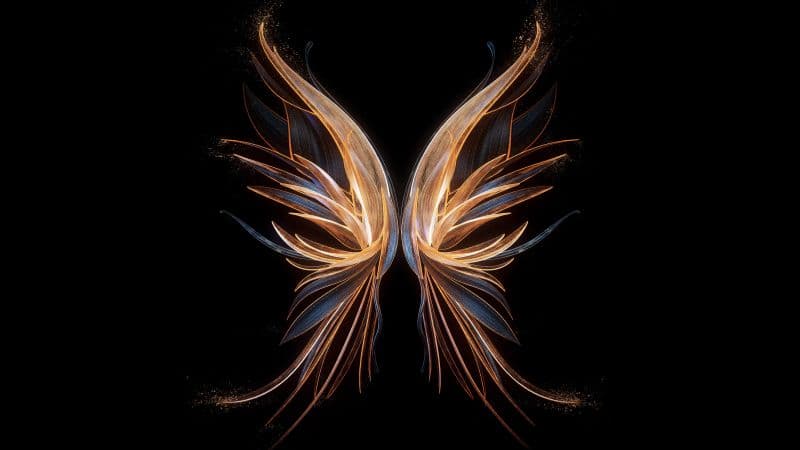 Angel wings Black background Wallpaper