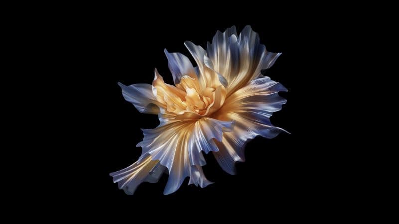 Abstract background Floral Wallpaper