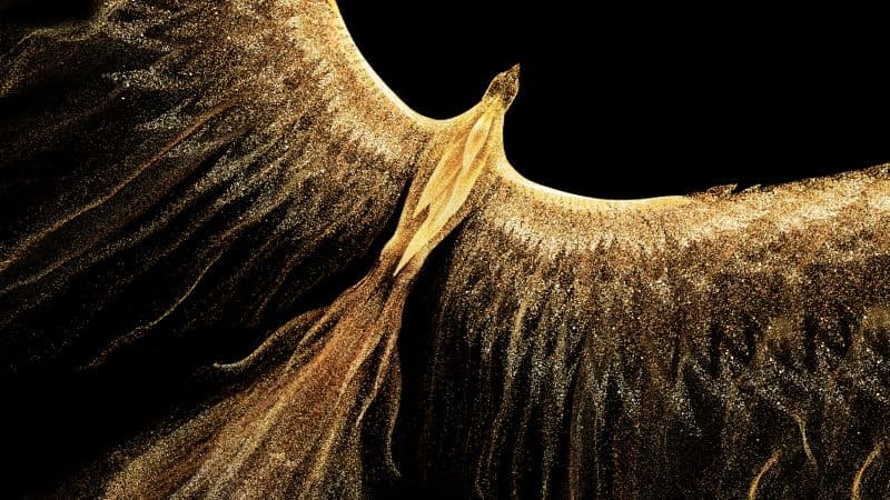 Golden Phoenix Fire bird Wallpaper