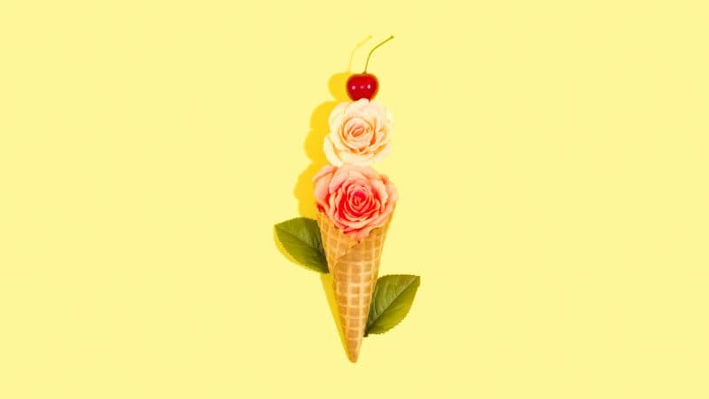 Rose flowers Ice cream cone Wallpaper