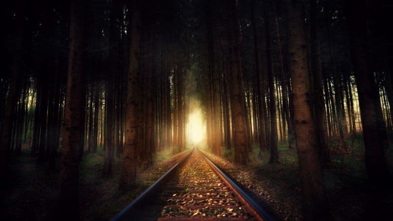 Forest Railway track Wallpaper
