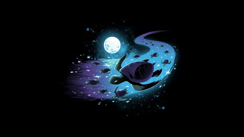 Turtle Celestial Wallpaper