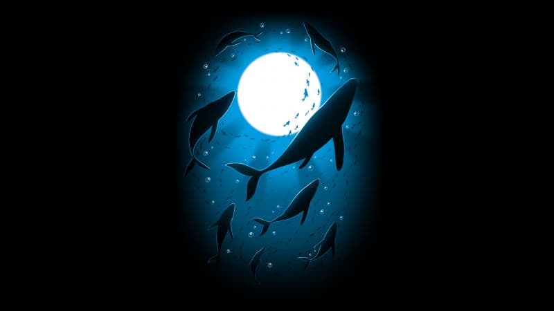 Moonlight Underwater Wallpaper