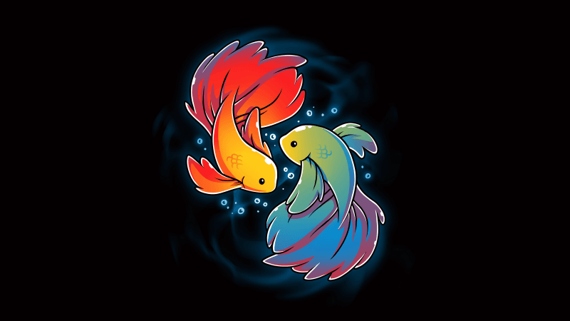 Rainbow Betta Betta fishes Wallpaper