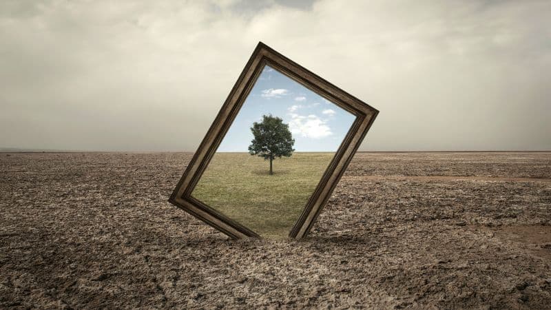 Frame Landscape Wallpaper