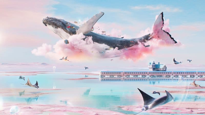 Dreamlike Whale Wallpaper