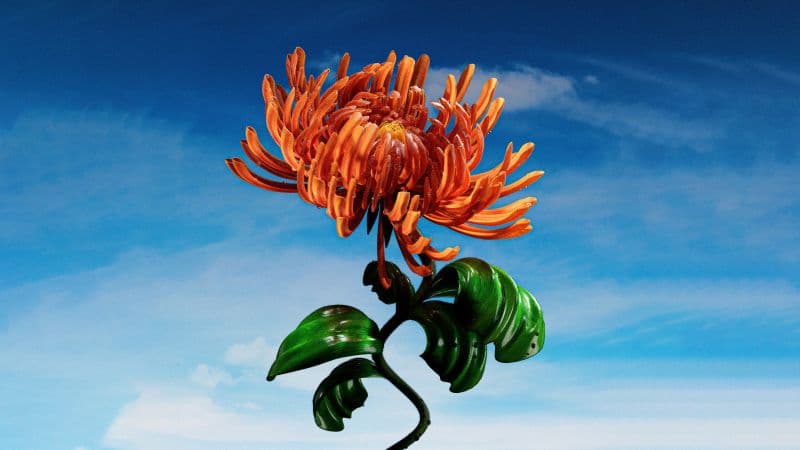 Orange flower Blue Sky Wallpaper