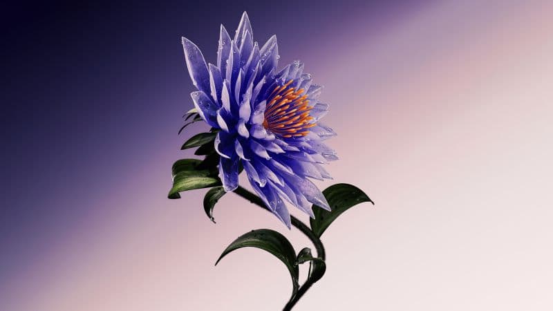 Purple Flower Artistic Wallpaper