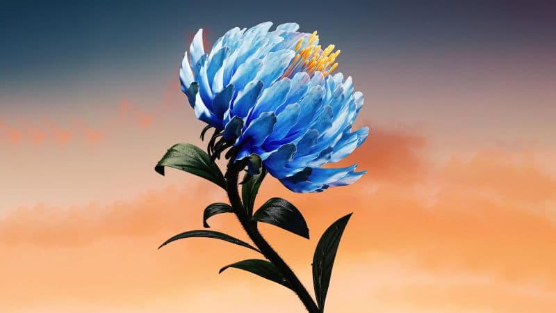 Blue flower Digital Art Wallpaper