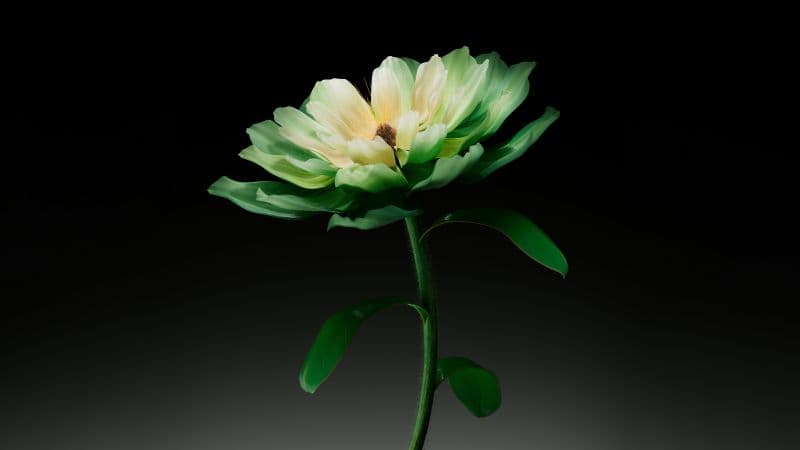 Green flower Dark background Wallpaper