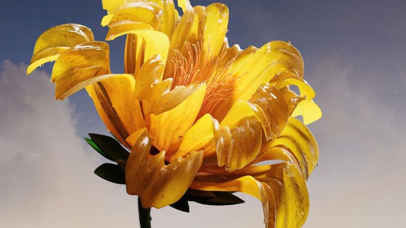 Vibrant Yellow flower Wallpaper