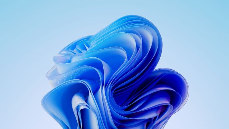 Windows 11 Bloom Default Wallpaper