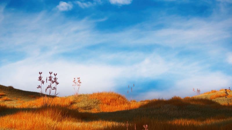 Grass field Serene Wallpaper