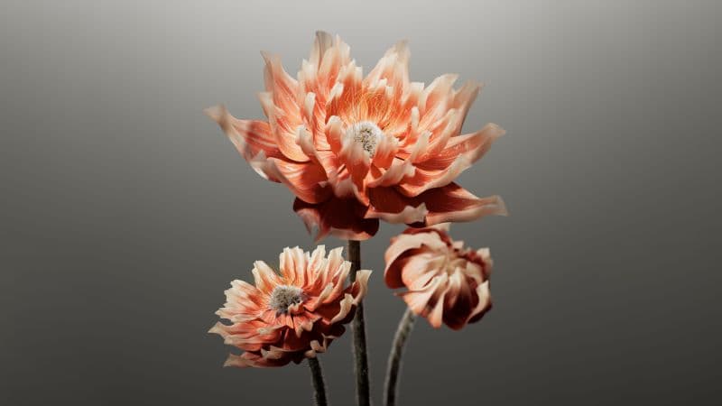 Peach Digital flower Wallpaper