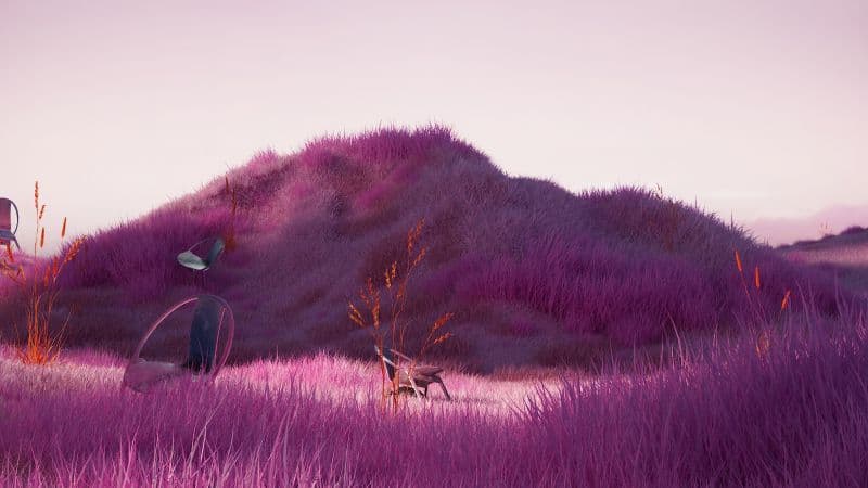 Lavender fields Purple aesthetic Wallpaper
