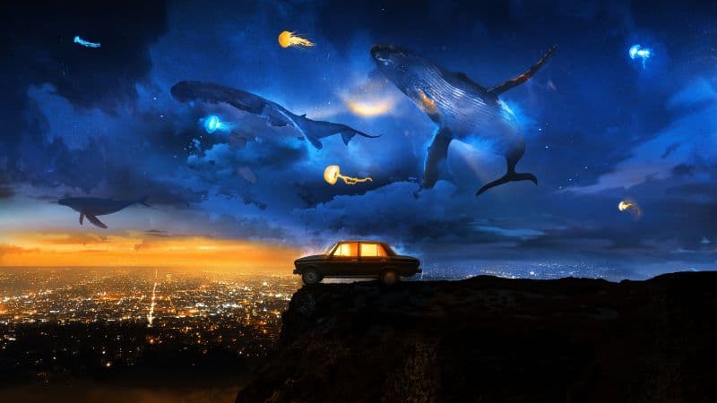 Flying Whales Wallpaper