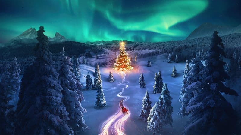 Christmas tree Aurora sky Wallpaper