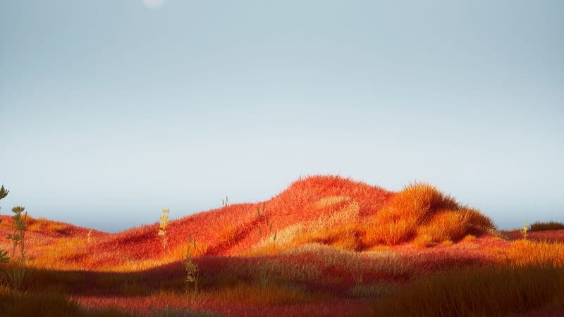 Grass Landscape Moonlight Wallpaper