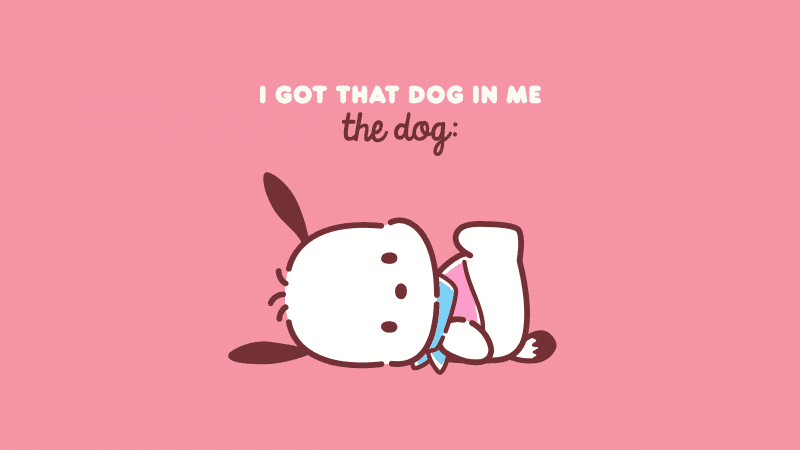 Sanrio Pochacco Wallpaper
