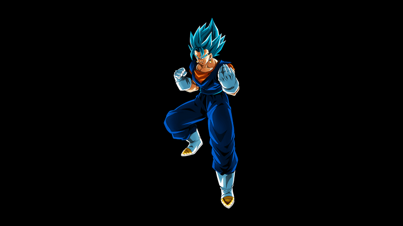Super Saiyan God Vegito Wallpaper