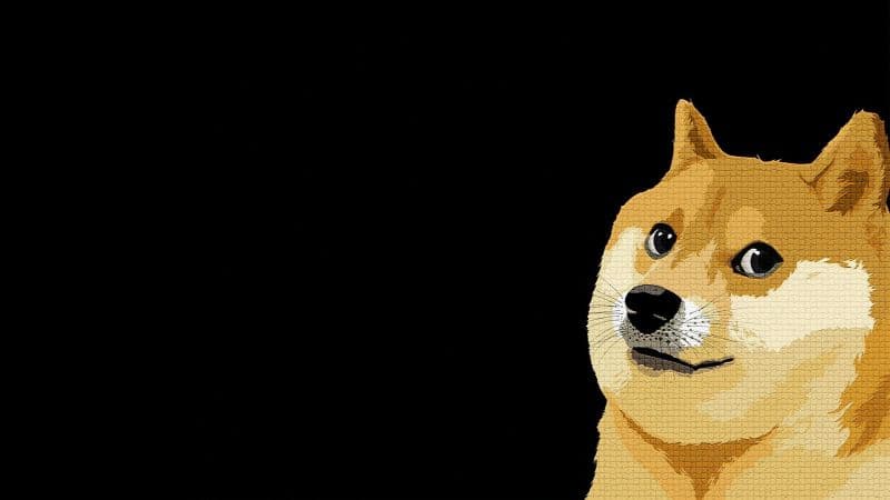 Shiba Inu Dog Wallpaper
