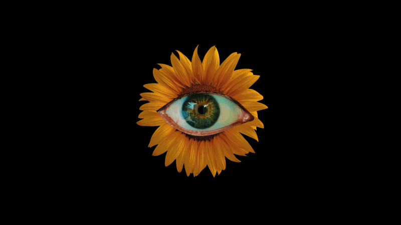Sunflower Weirdcore Wallpaper