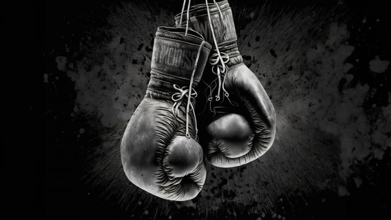 Boxing Gloves Dark background Wallpaper