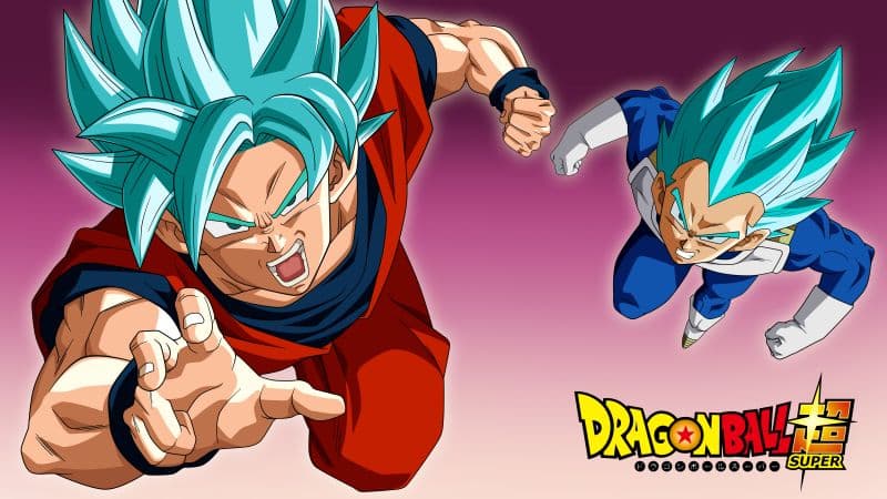 Super Saiyan Blue Goku & Vegeta Dragon Ball Super Wallpaper