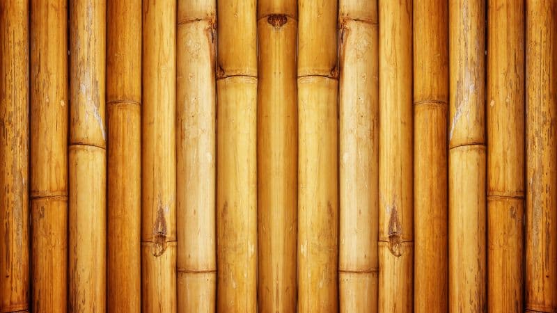 Bamboo Wall Wallpaper