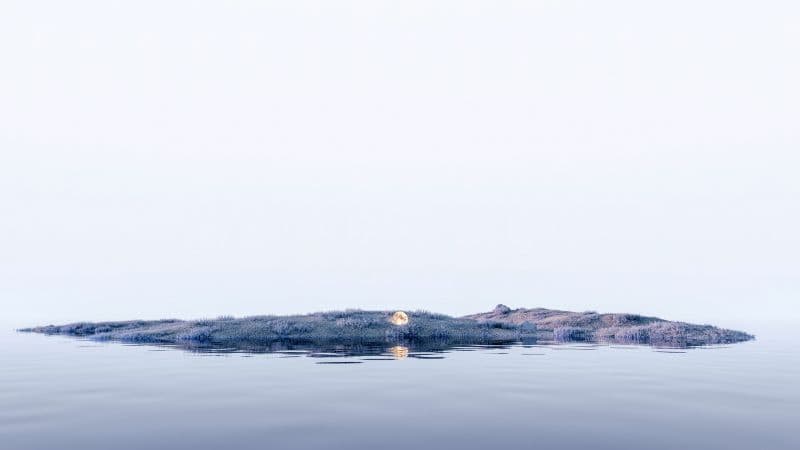 Island Moon Wallpaper