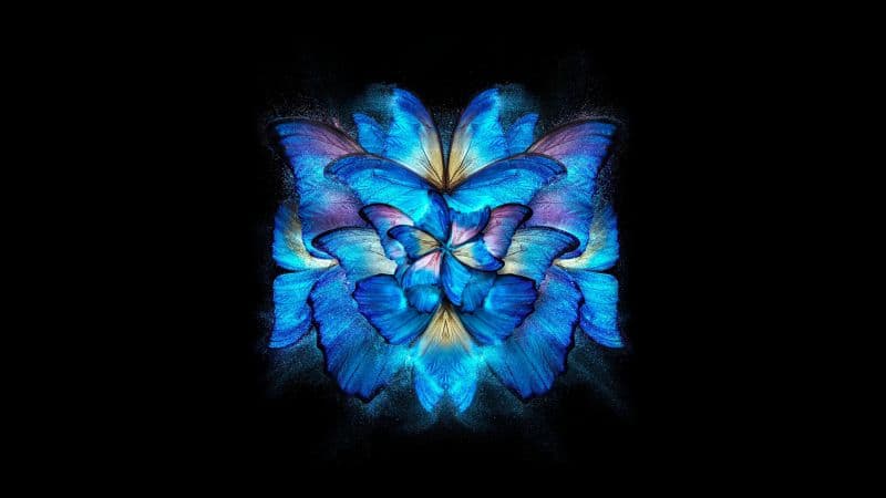 Blue abstract Black background Wallpaper