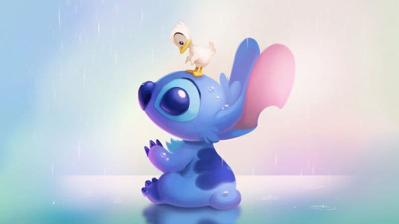 Koala Stitch Wallpaper