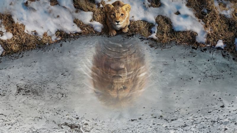 Mufasa: The Lion King 8K Wallpaper