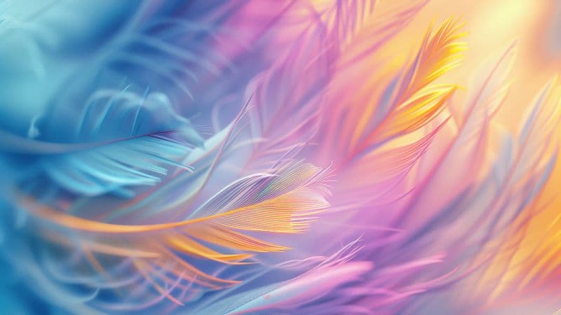 Colorful Feathers Wallpaper