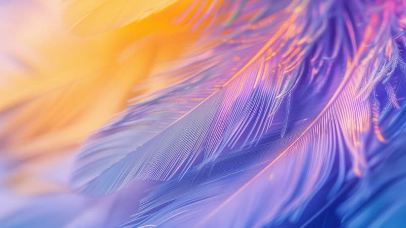 Feathers Purple aesthetic Wallpaper