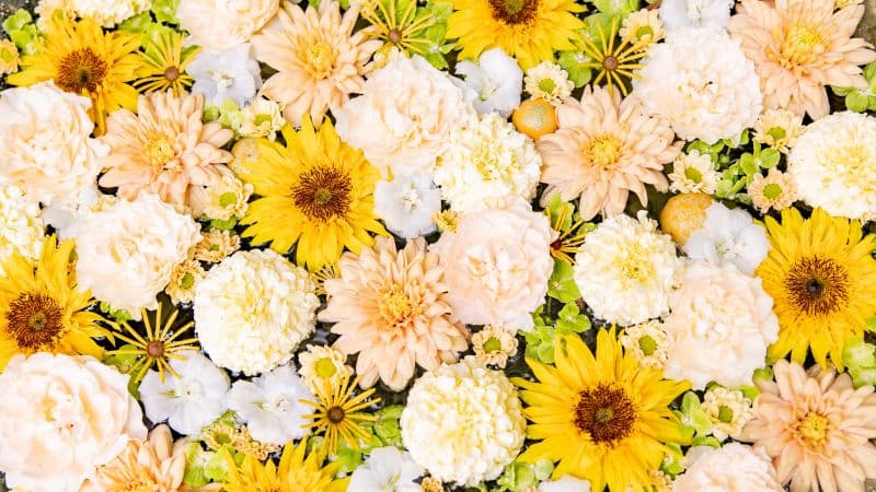 Flower bouquet Yellow aesthetic Wallpaper