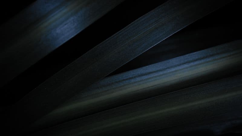 Grey Leaves Wallpaper