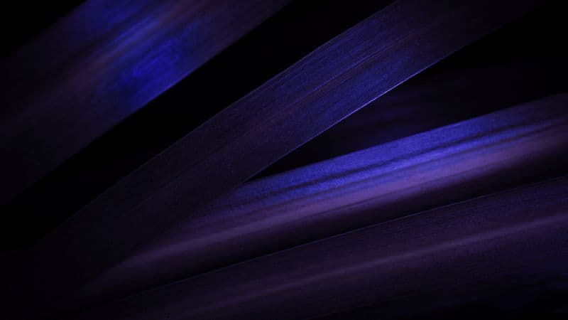 Purple aesthetic Leaves Wallpaper