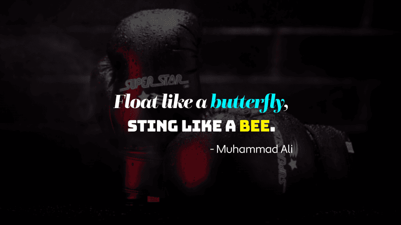 Boxing Popular quotes Wallpaper